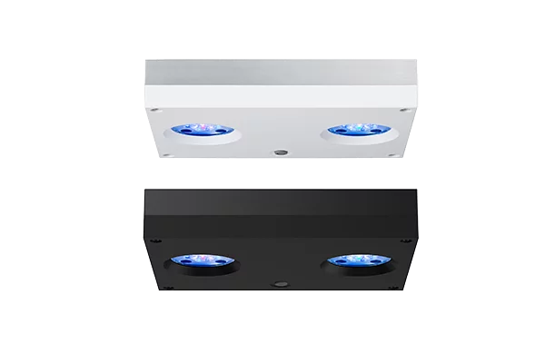 AI Hydra 32 HD LED Light