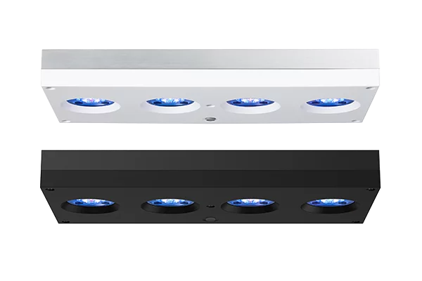 AI Hydra 64 HD LED Light