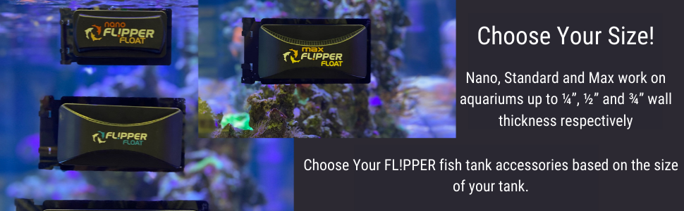 Flipper Float STANDARD - Image 4