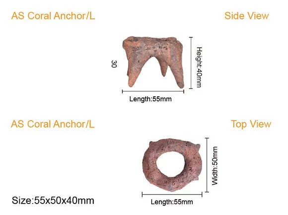 AS Fraggie Holic - Coral Anchor L