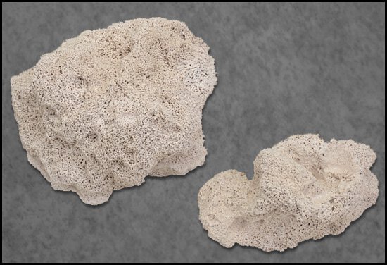 Marine Pure ROCK