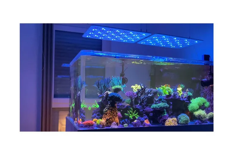 ATI Straton Pro LED Lighting | Coral Reef Tank Aquarium - Image 3