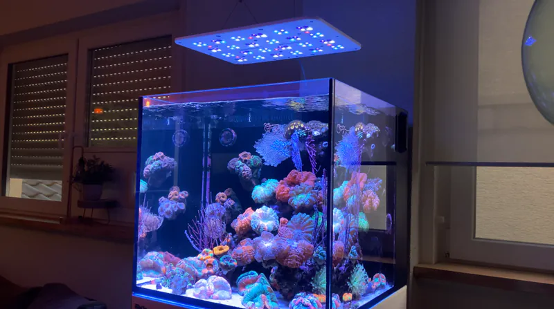 ATI Straton Pro LED Lighting | Coral Reef Tank Aquarium - Image 4