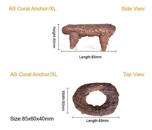 AS Fraggie Holic - Coral Anchor XL