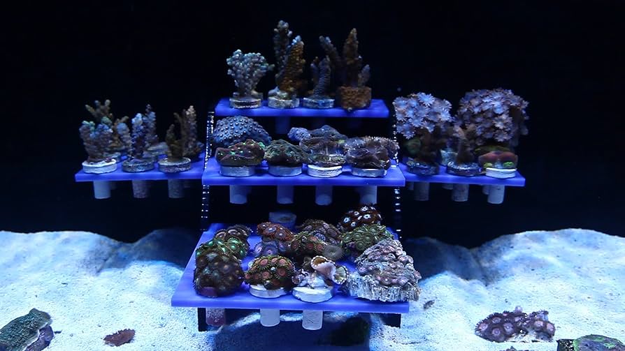 Innovative Marine ReefRack 32 Magnetic Coral Frag Rack - Image 3