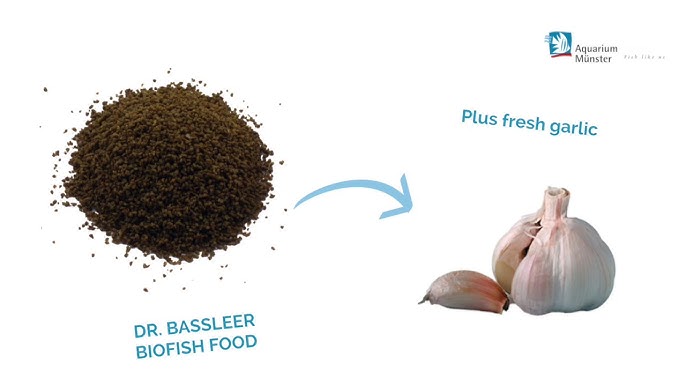 Aquarium Munster Dr. Bassleer Biofish Food GARLIC - Image 3