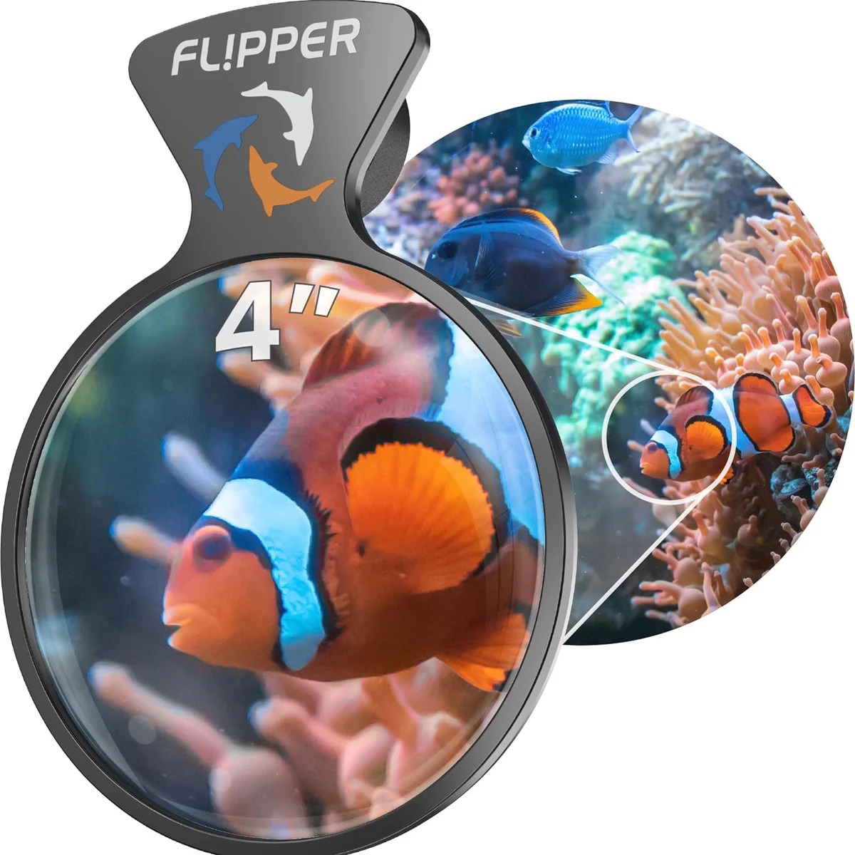 Flipper DeepSee Magnified Magnetic Aquarium Viewer - Image 3