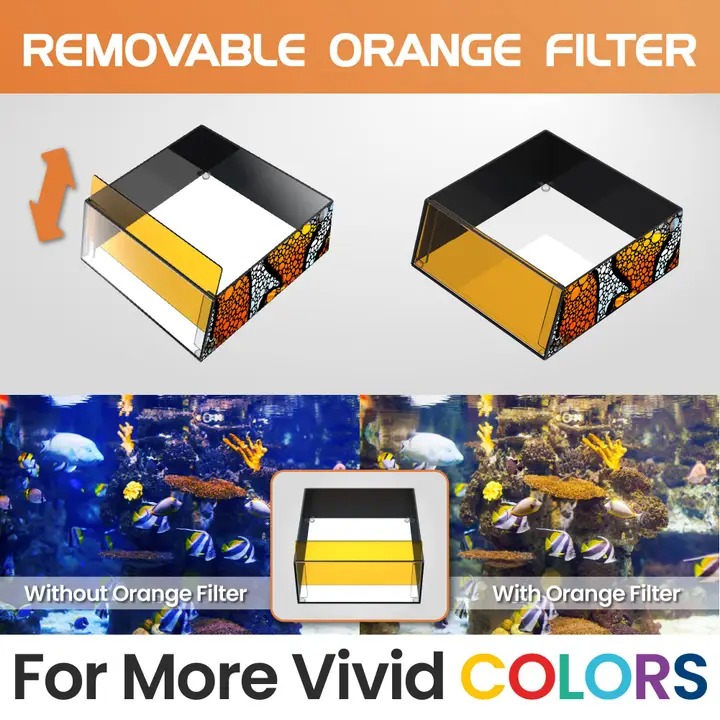 Flipper Top Down Aquarium Viewer (Clownfish) - Image 5