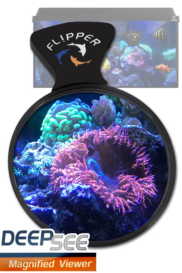 Flipper DeepSee Magnified Magnetic Aquarium Viewer - Image 5