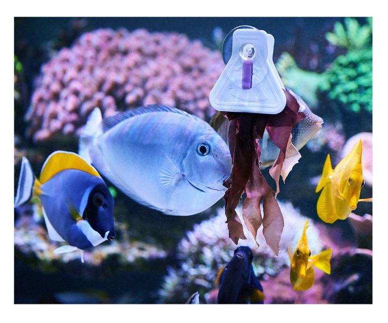 Aquarium Systems A La Carte Food Clip - Image 4