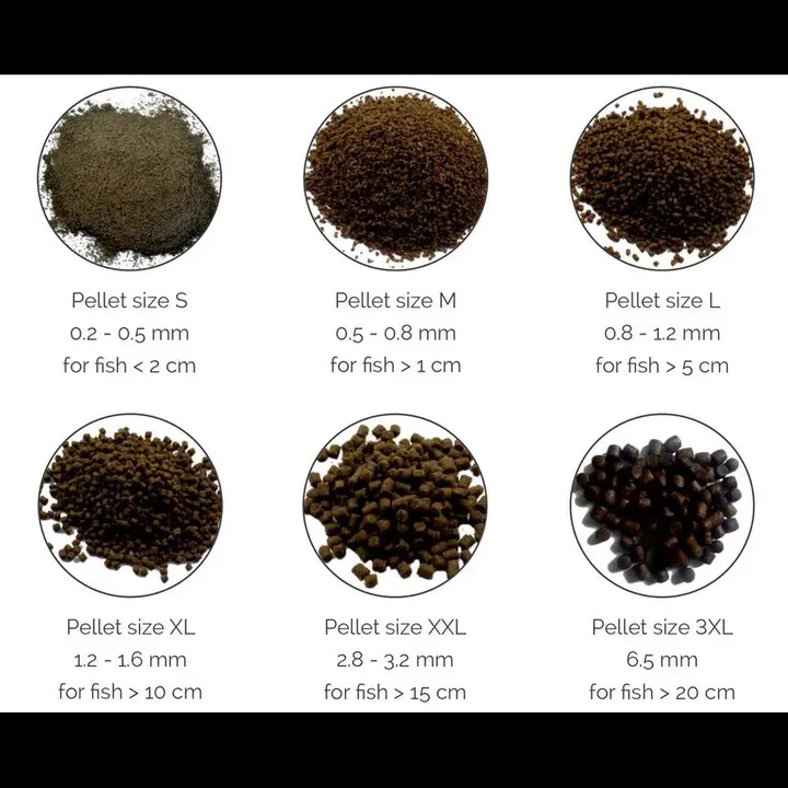 Dr. Bassleer Biofish Food MATRINE - Image 4