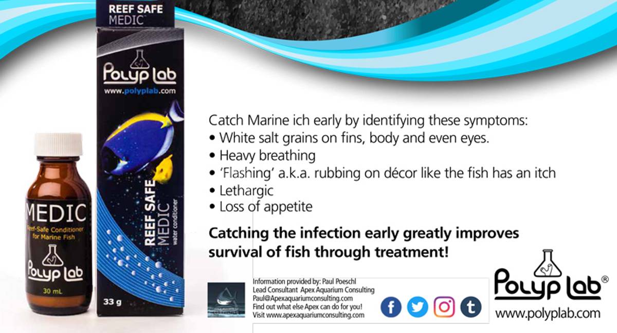 Polyp Lab MEDIC 30ml - Image 3