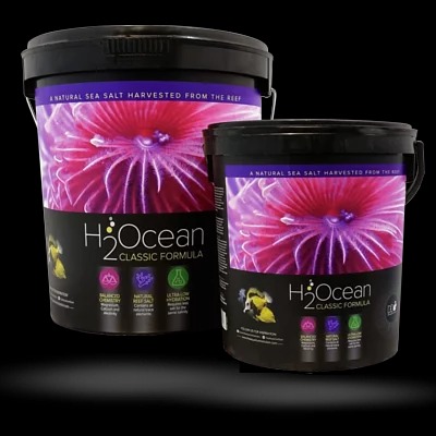 D-D H2Ocean Classic Formula Salt