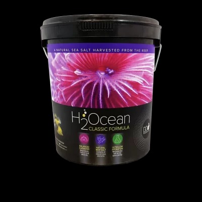 D-D H2Ocean Classic Formula Salt - Image 3