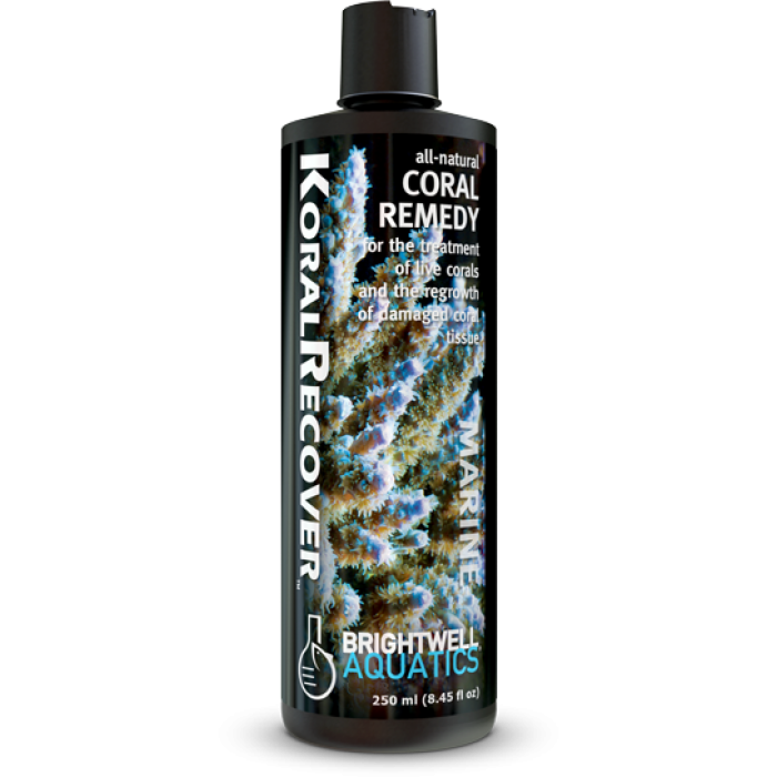 Brightwell Aquatics Koral Recover