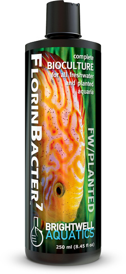 Brightwell Aquatics Florin Bacter - Image 3