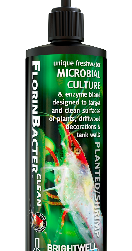 Brightwell Aquatics Florinbacter Clean Shimp