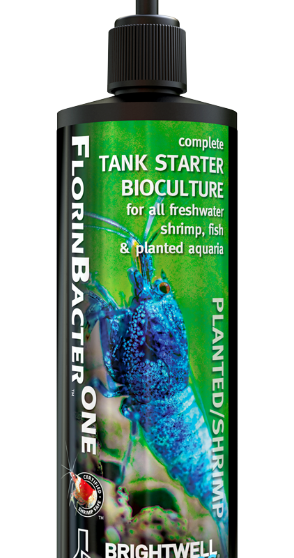 Brightwell Aquatics FlorinbacterONE