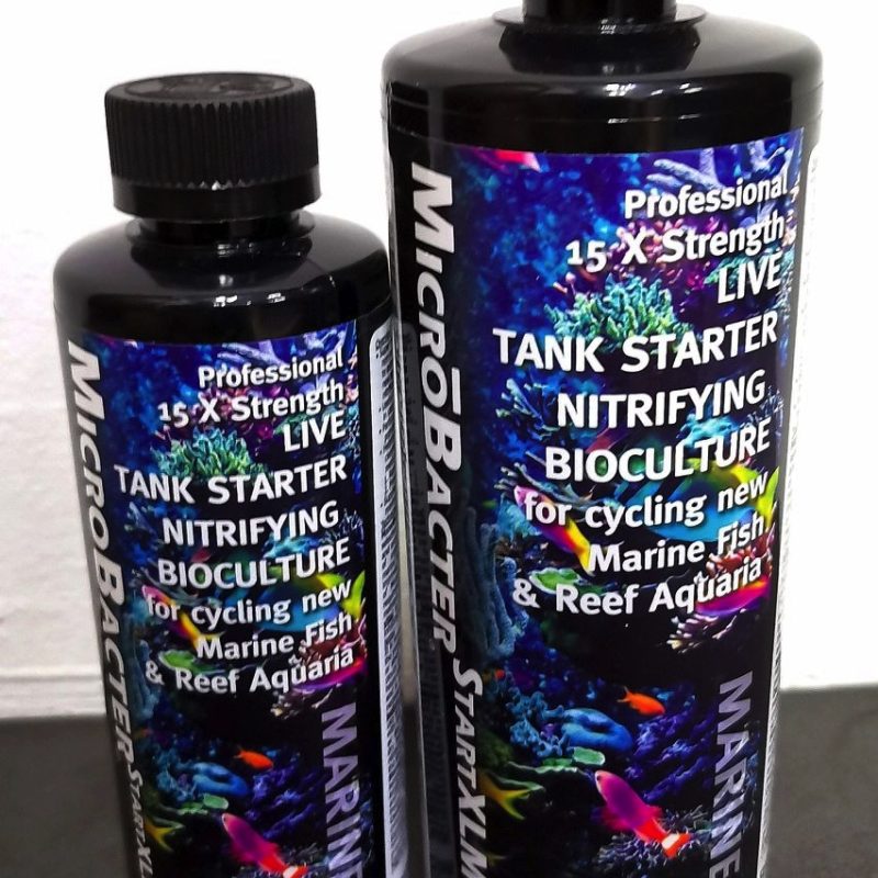 Brightwell Aquatics MicroBacter Start XLM