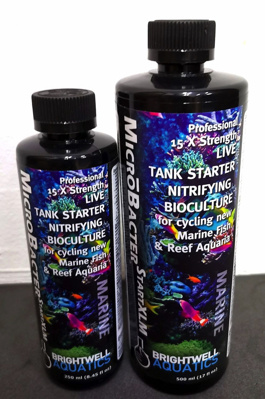 Brightwell Aquatics MicroBacter Start XLM