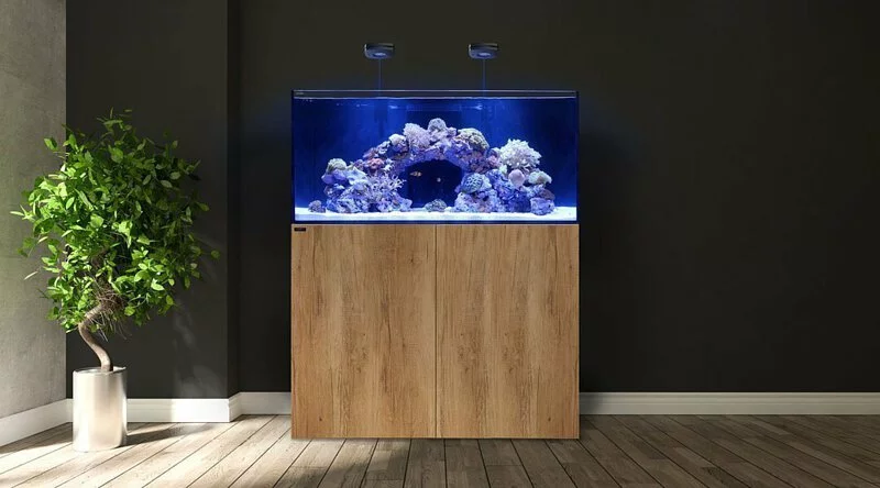 WaterBox Aquariums Marine X - Image 3