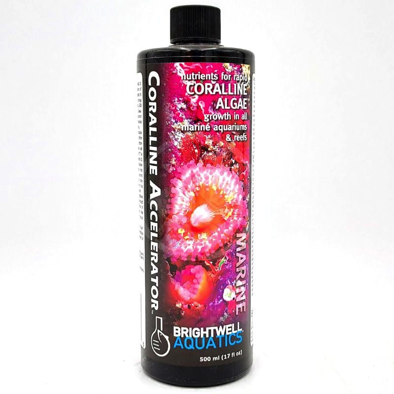 Brightwell Aquatics Coralline Accelerator