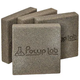 Polyp Lab Genesis Rock