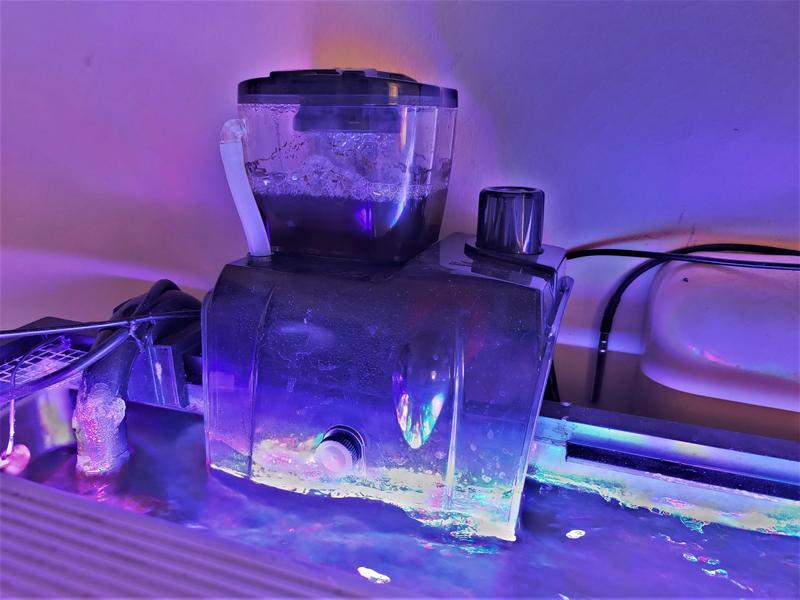 Bubble Magus - QQ1 - Image 6