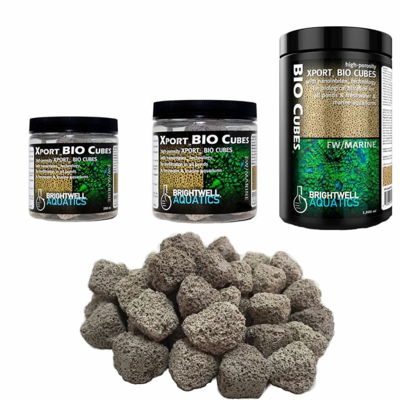 Brightwell Aquatics Xport Bio Cubes